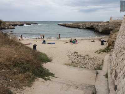 Trecento metri pi� a sud si staglia invece la pi� larga �Cala Susca�, un arenile circondato da una scogliera che assume la forma di un ferro di cavallo